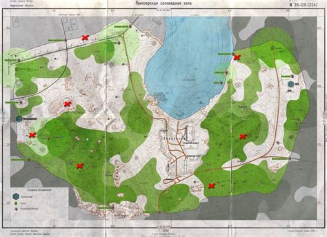 Карта лес тарков выходы